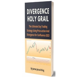 Divergence Holy Grail The Ultimate Day Trading Strategy Using Price action And Divergence for Confluence 2023